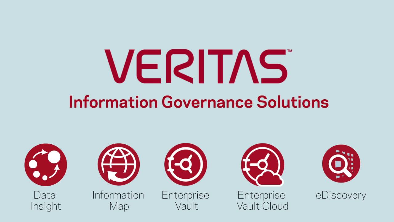Veritas enterprise vault support
